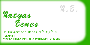 matyas benes business card